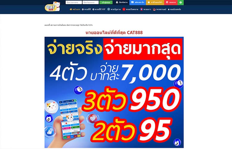 เว็บหลัก CAT888 แจกโบนัสต่อเนื่อง CAT888